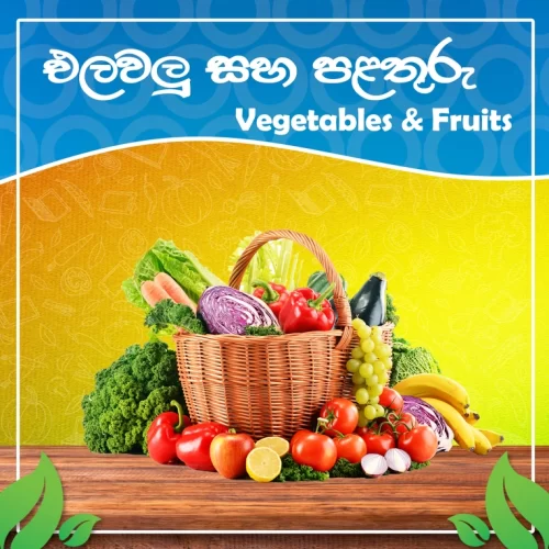 vegetables and fruits