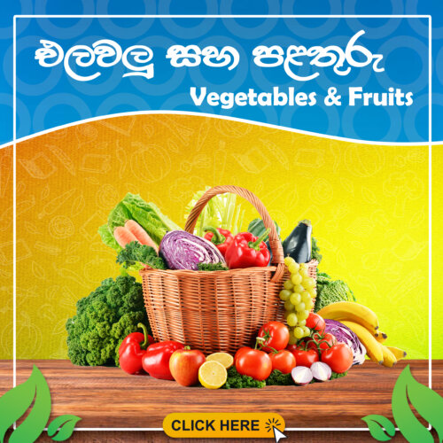 Vegetables and fruits